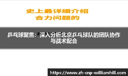 乒乓球聚焦：深入分析北京乒乓球队的团队协作与战术配合